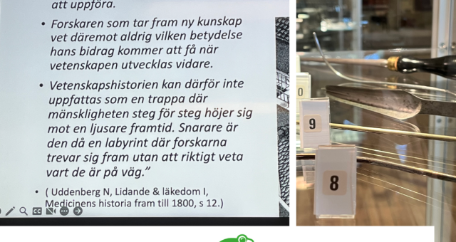 Från hål i skallen till högteknologisk kirurgi